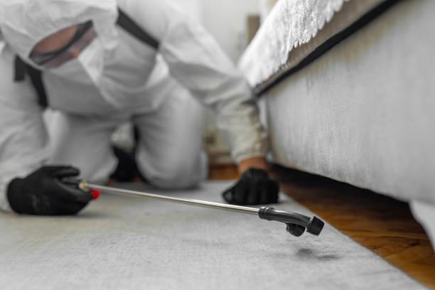 Professional Wasp Control technician working in Point of Rocks, MD