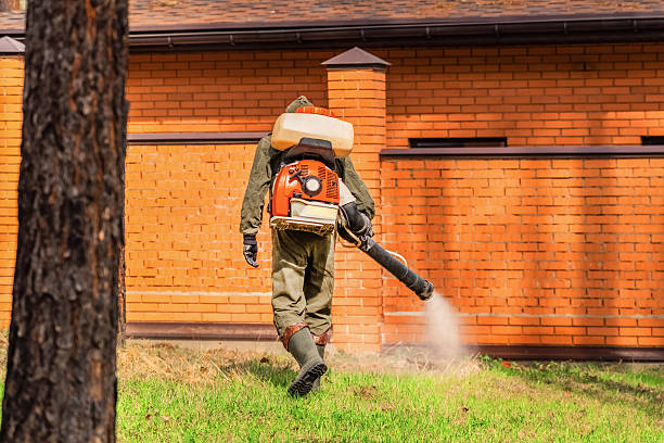 Trusted Emergency Pest Control service in Point of Rocks, MD - Nex Pest Control